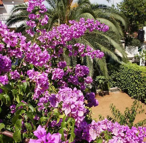 Franda 公寓 特罗吉尔