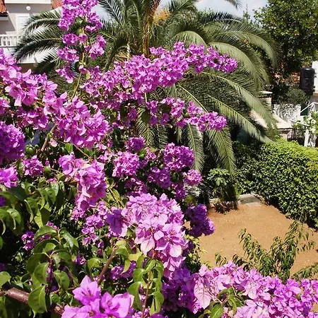 Franda Apartmán Trogir
