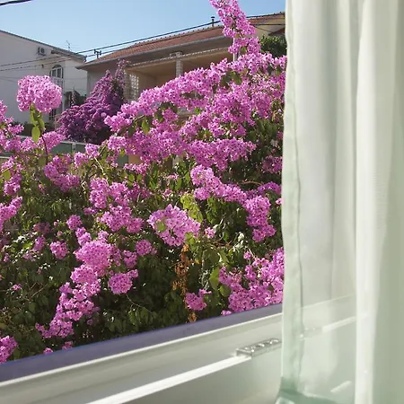 Apartment Franda